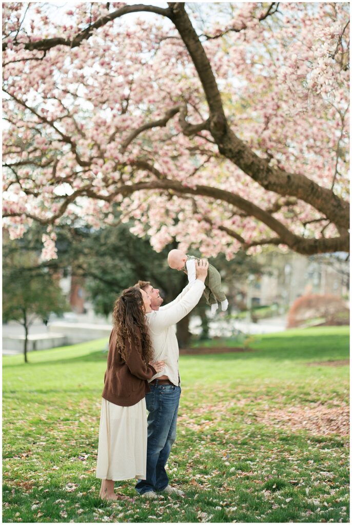 parents playing with baby under a magnolia tree