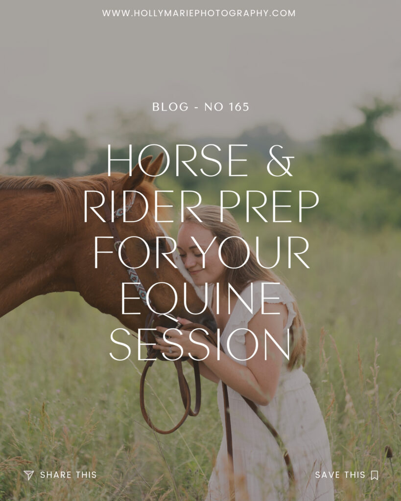 horse and rider prep for your equine session